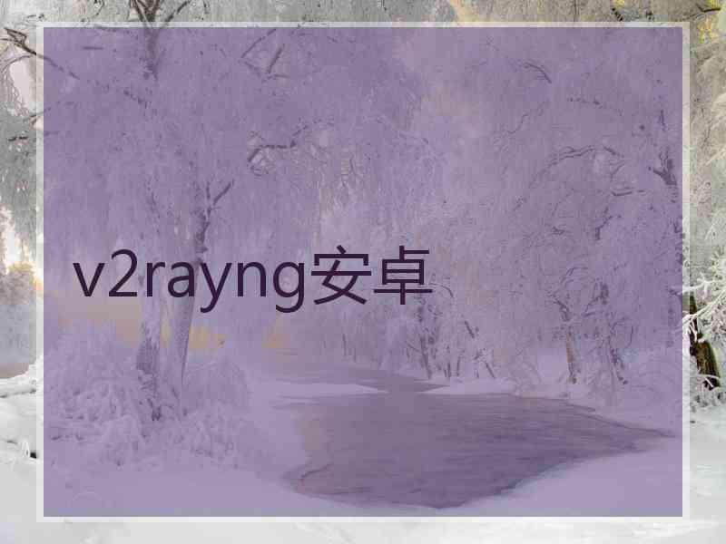 v2rayng安卓