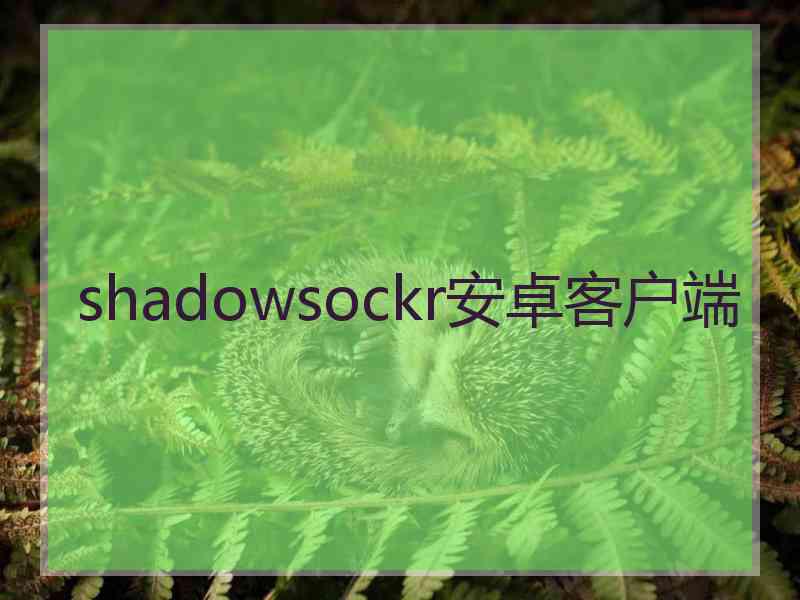 shadowsockr安卓客户端