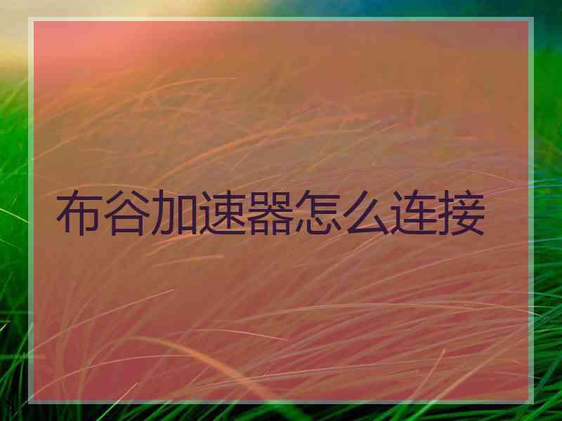布谷加速器怎么连接