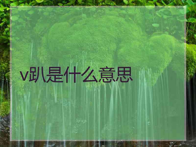 v趴是什么意思