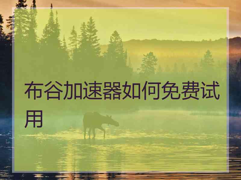 布谷加速器如何免费试用