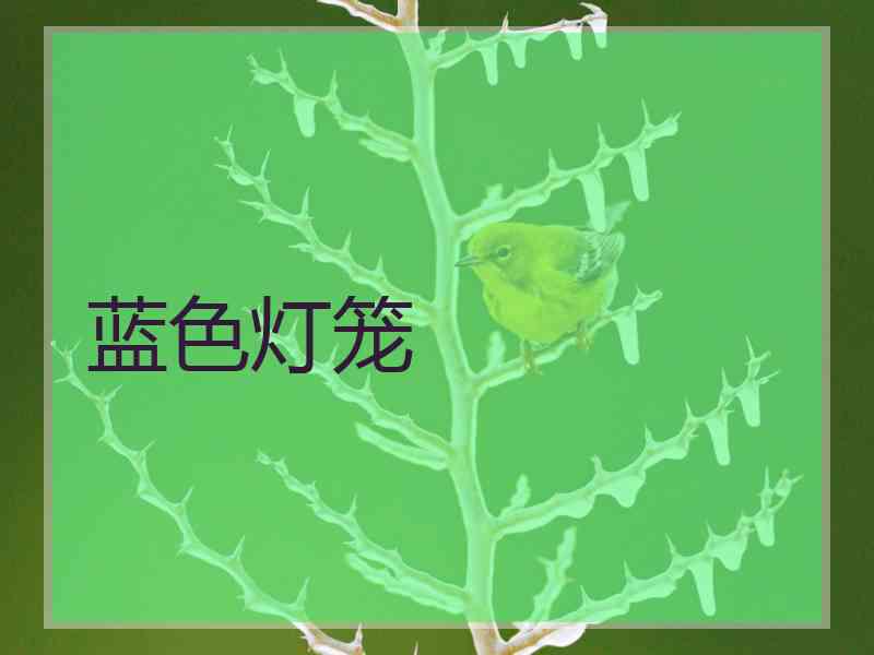 蓝色灯笼