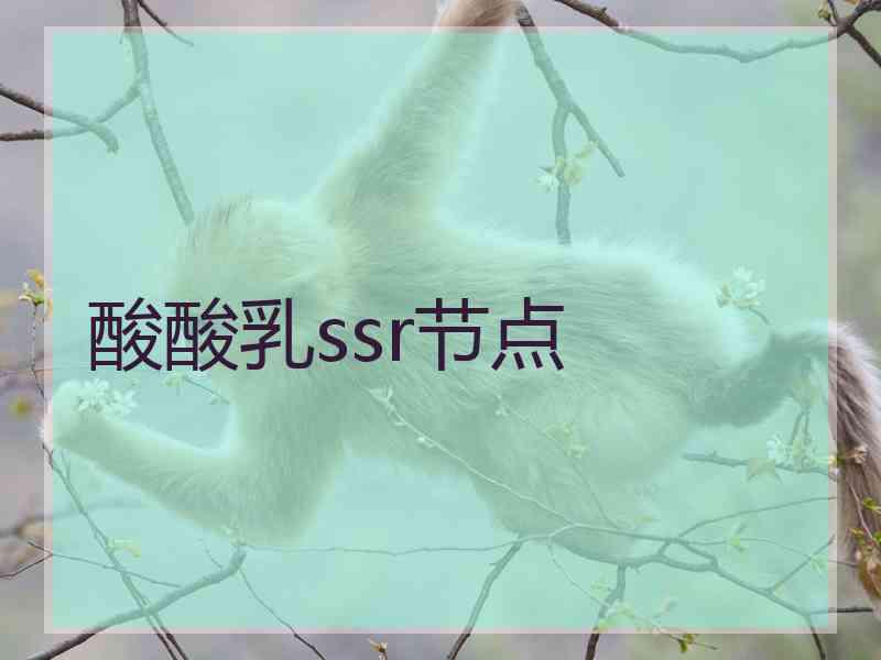 酸酸乳ssr节点
