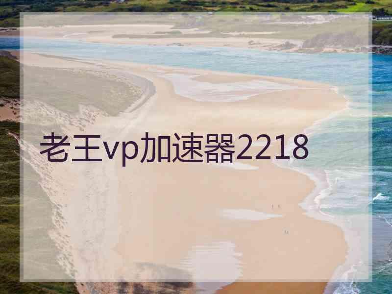 老王vp加速器2218