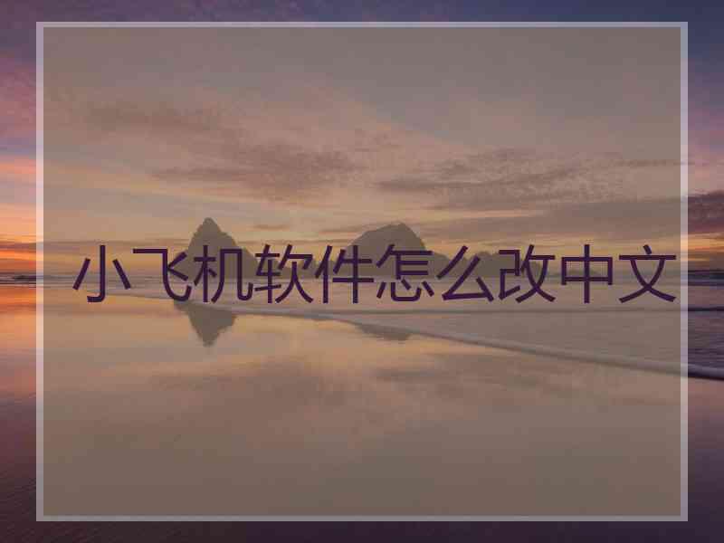 小飞机软件怎么改中文