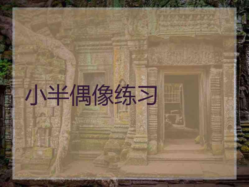 小半偶像练习