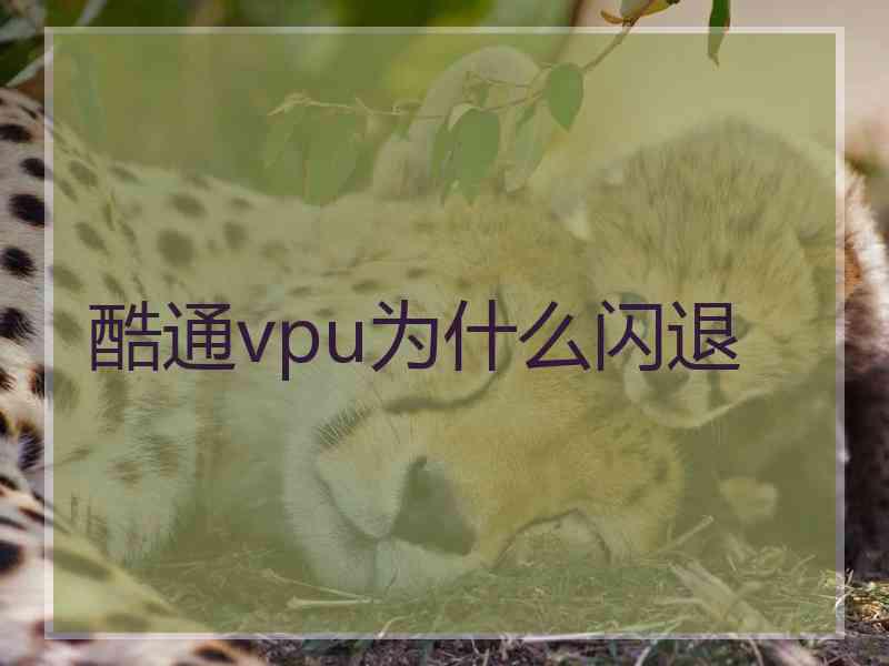 酷通vpu为什么闪退