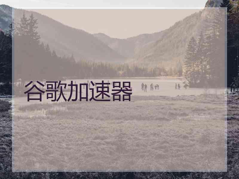 谷歌加速器