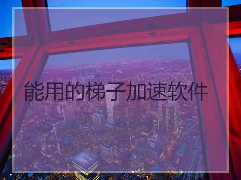 能用的梯子加速软件