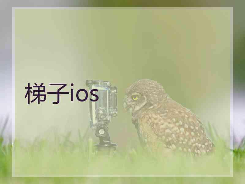 梯子ios