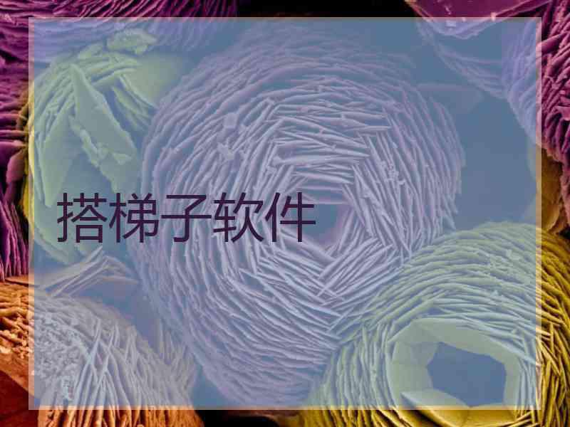 搭梯子软件