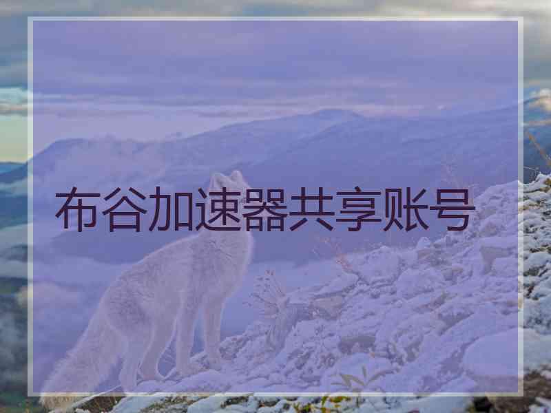 布谷加速器共享账号