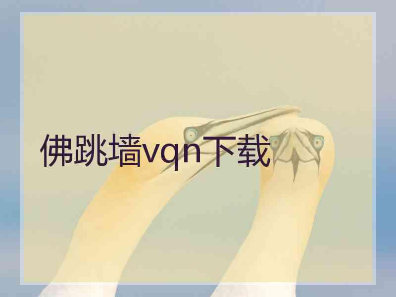 佛跳墙vqn下载