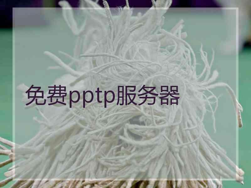免费pptp服务器