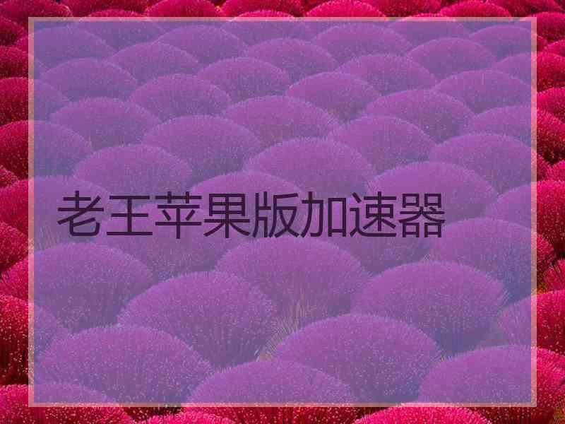老王苹果版加速器