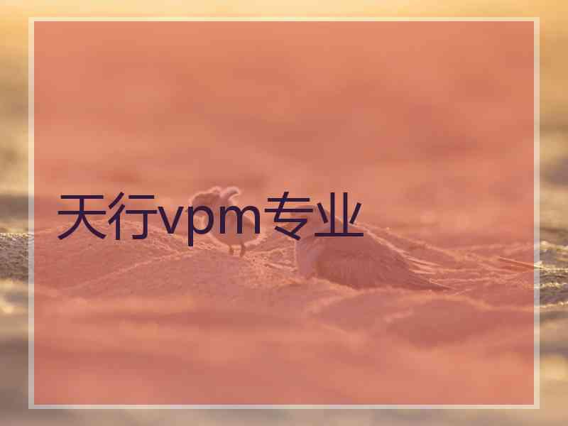天行vpm专业