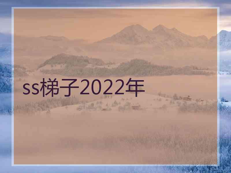 ss梯子2022年