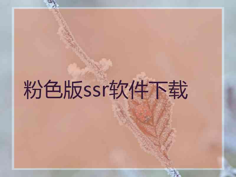 粉色版ssr软件下载
