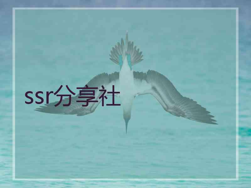 ssr分享社