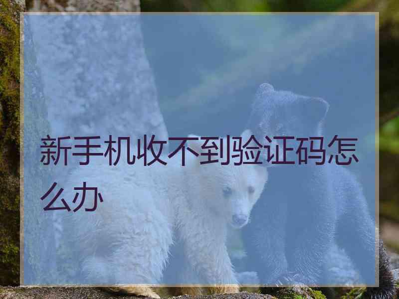 新手机收不到验证码怎么办