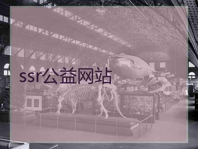 ssr公益网站