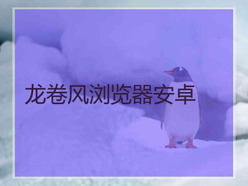 龙卷风浏览器安卓