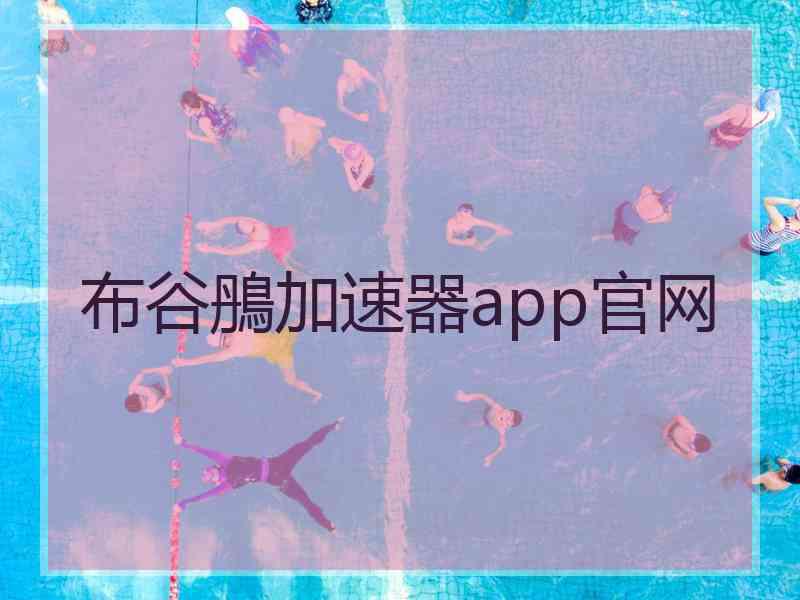 布谷鴅加速器app官网