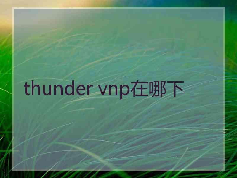 thunder vnp在哪下