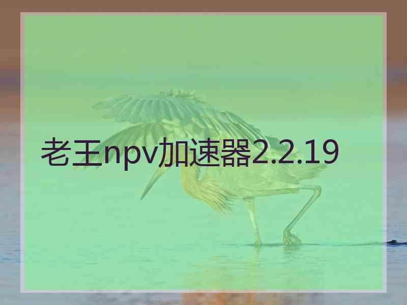 老王npv加速器2.2.19