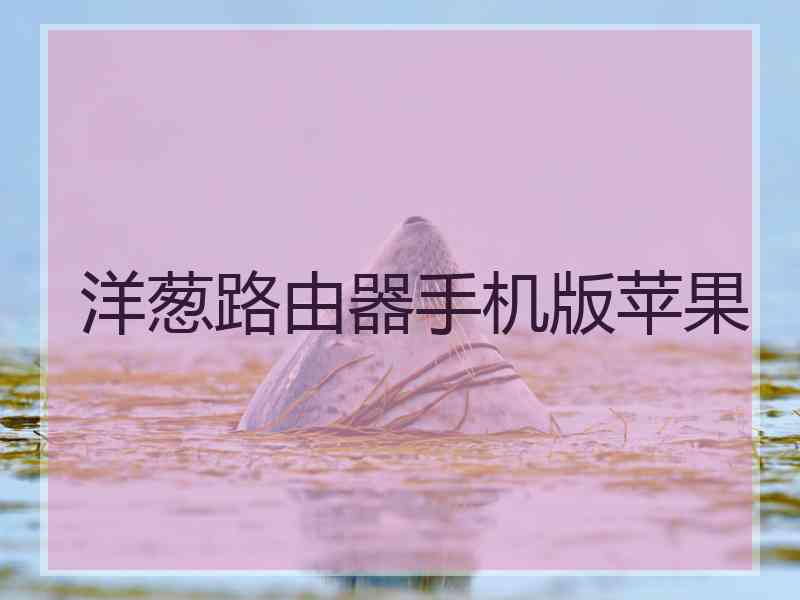 洋葱路由器手机版苹果