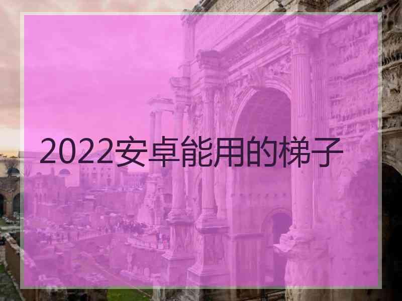 2022安卓能用的梯子
