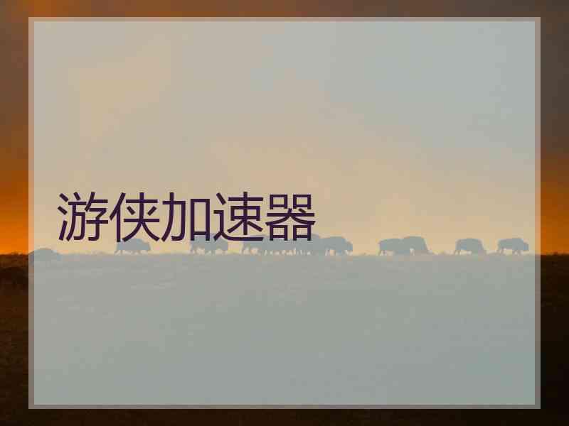游侠加速器