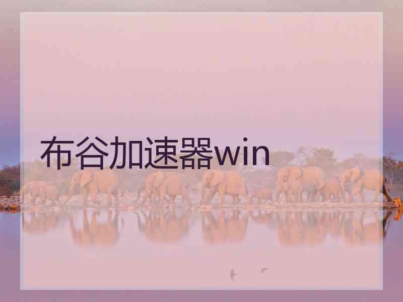 布谷加速器win