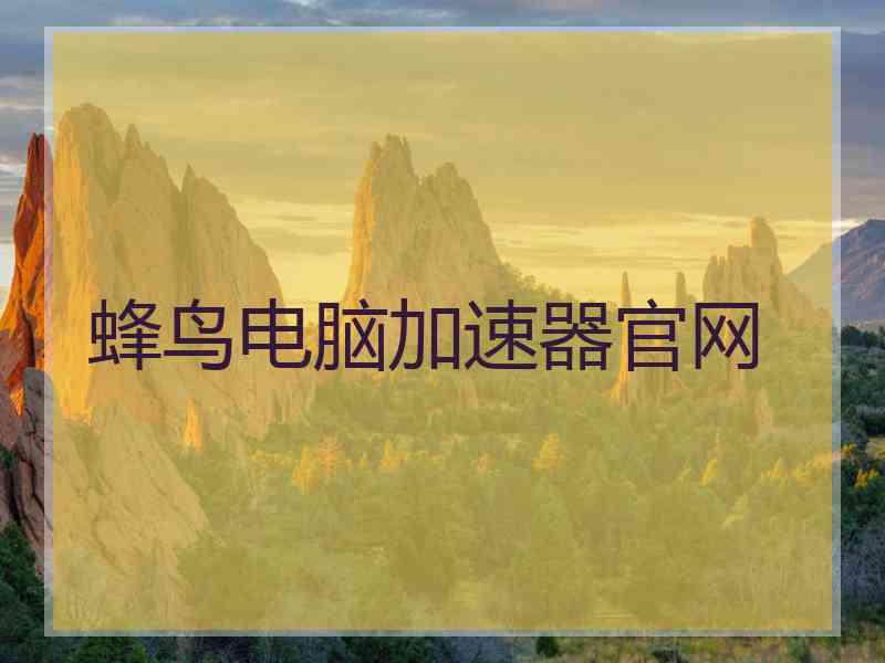 蜂鸟电脑加速器官网