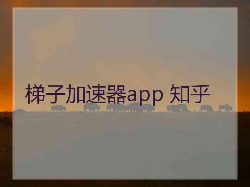 梯子加速器app 知乎