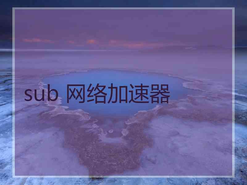 sub 网络加速器