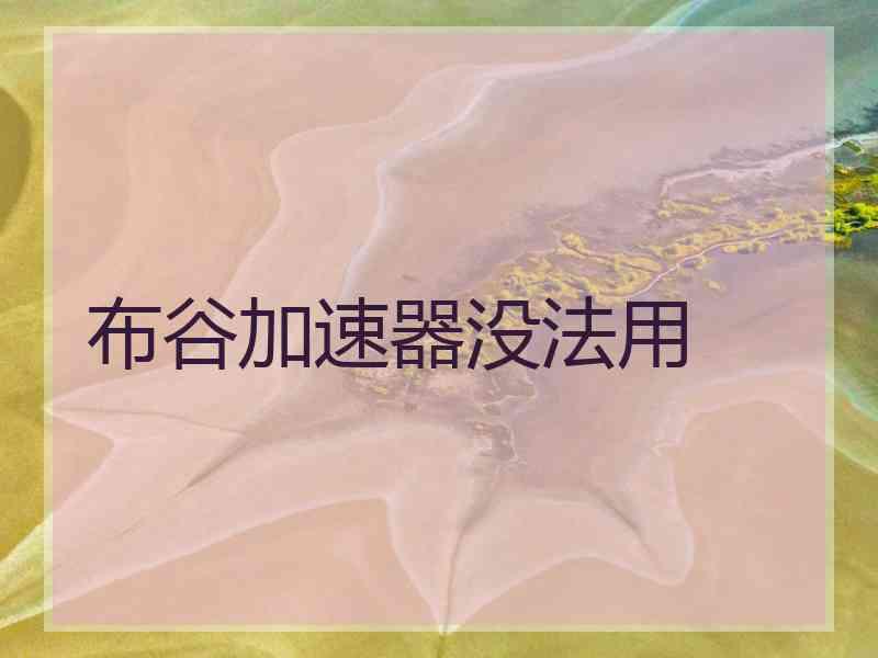 布谷加速器没法用