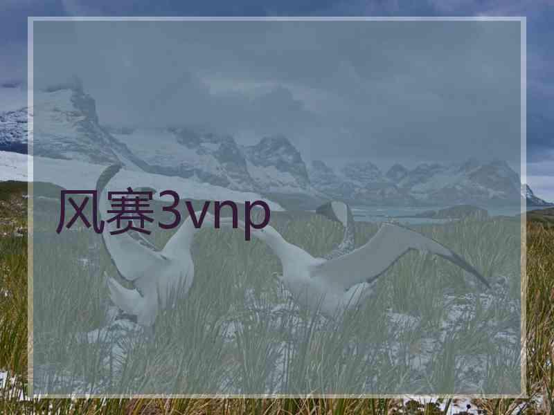 风赛3vnp
