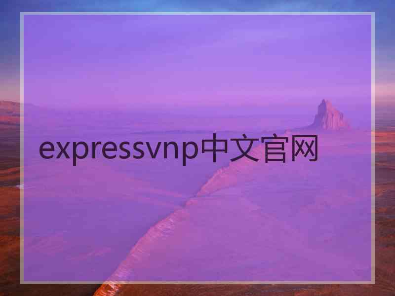 expressvnp中文官网