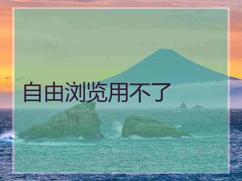 自由浏览用不了
