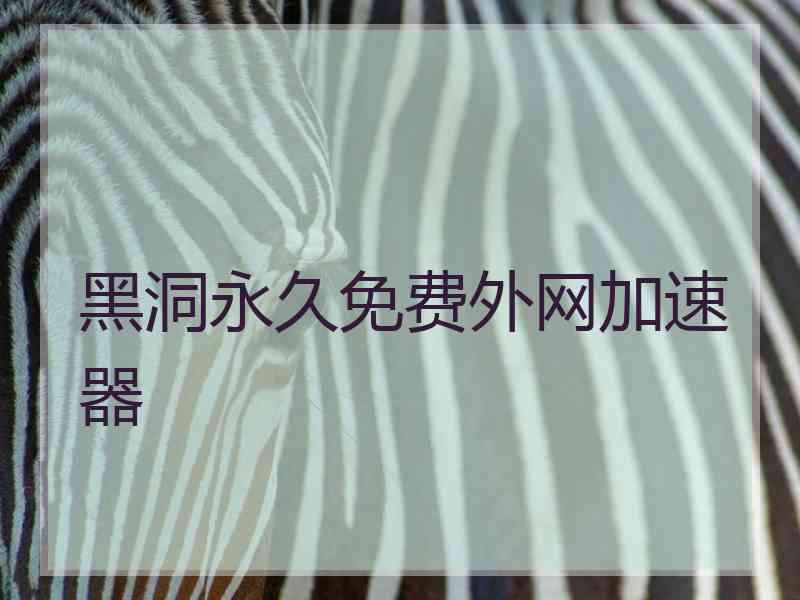 黑洞永久免费外网加速器