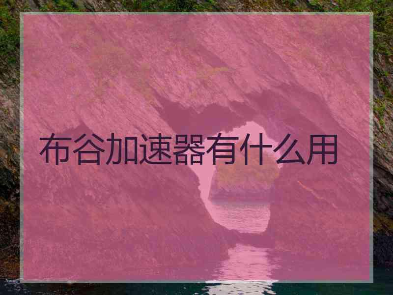 布谷加速器有什么用