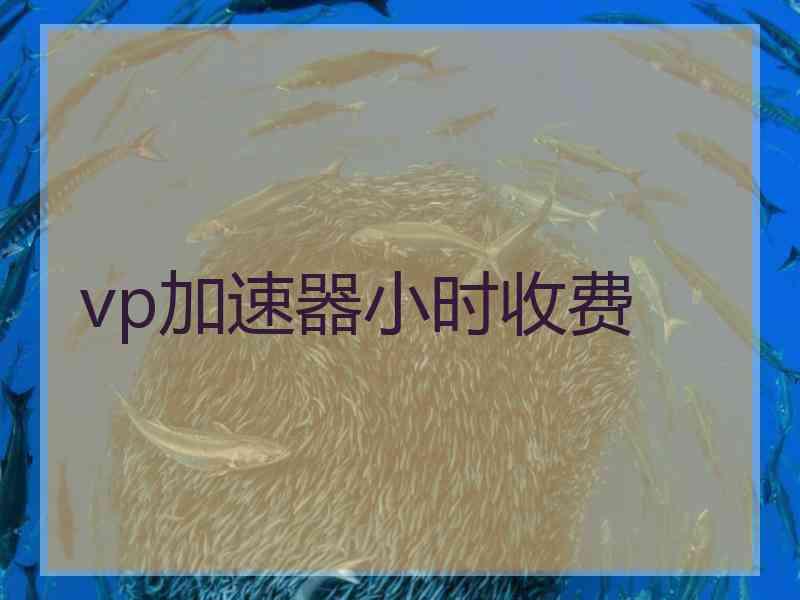 vp加速器小时收费