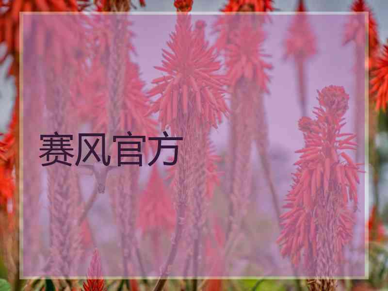 赛风官方