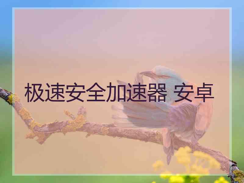极速安全加速器 安卓