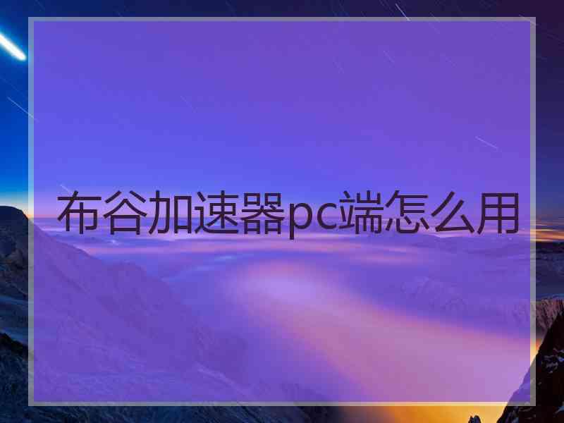 布谷加速器pc端怎么用