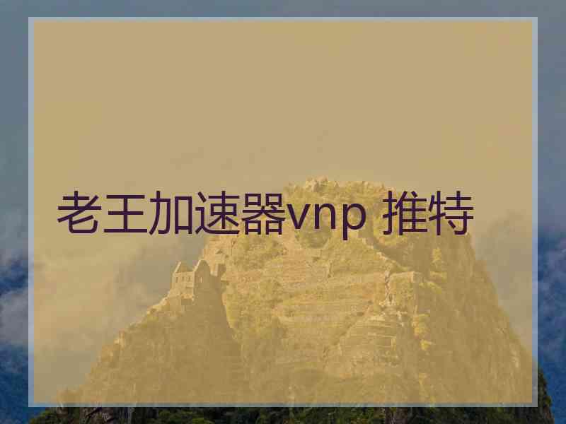 老王加速器vnp 推特