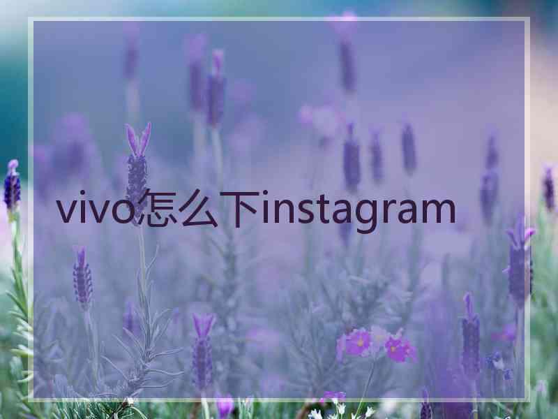 vivo怎么下instagram