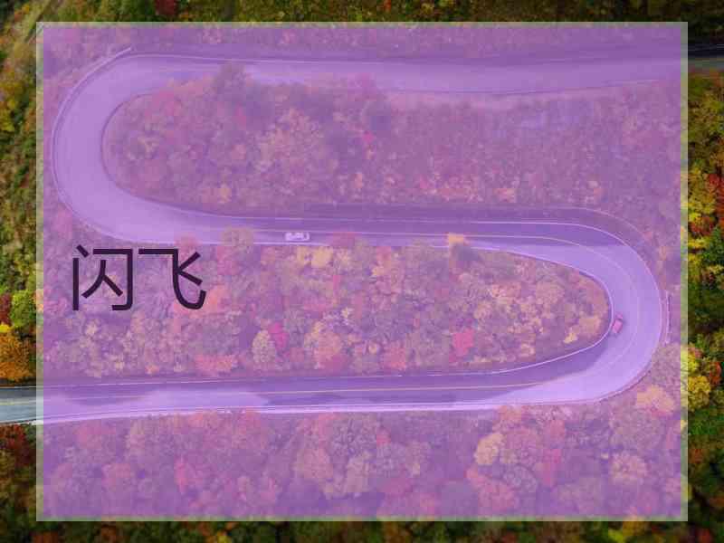 闪飞
