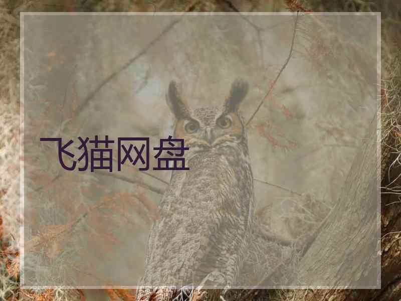 飞猫网盘